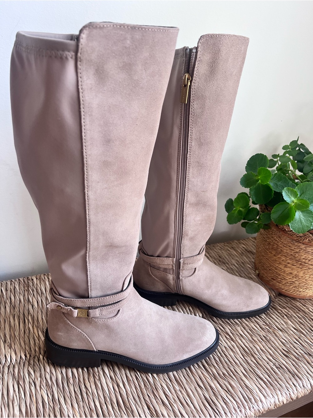 Vince Camuto Water Resistant Suede Knee-High Taupe - Women's Zip Riding Boots